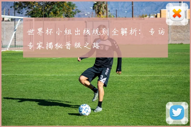 世界杯小组出线规则全解析：专访专家揭秘晋级之路