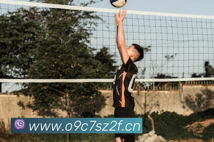 必一运动体育官网平台生态图